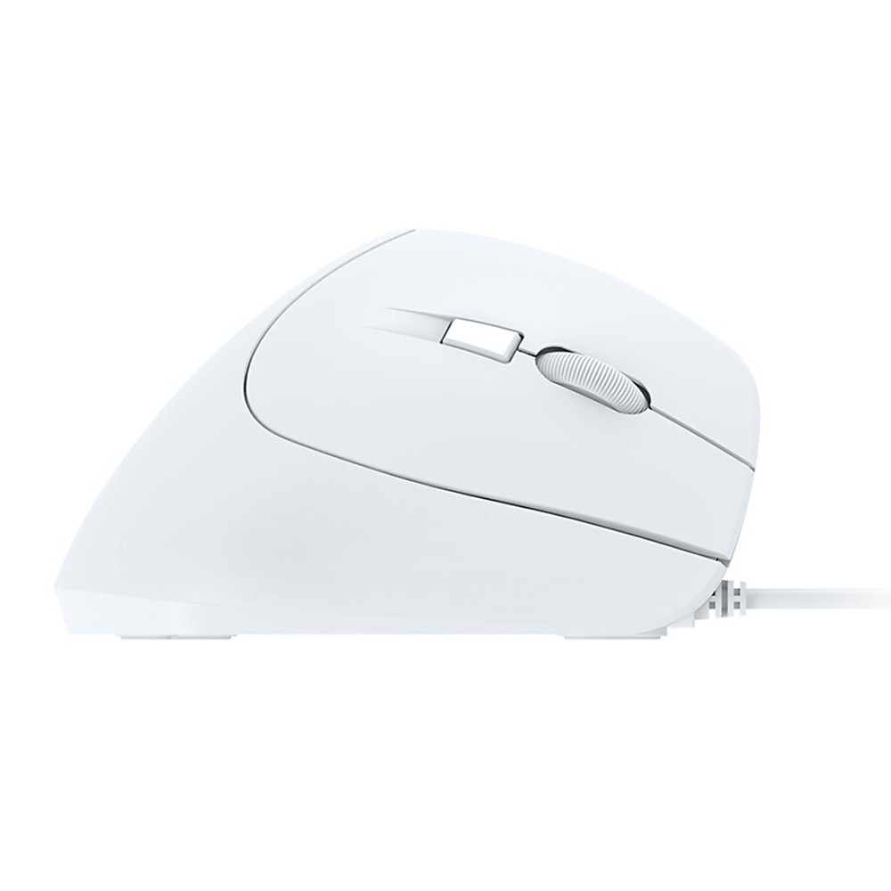 Chuột không dây Dareu LM108B Công Thái Học (Bluetooth + 2.4ghz)