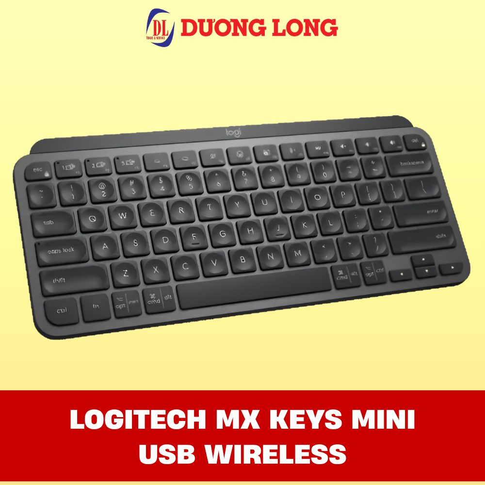 Combo Office & Creator