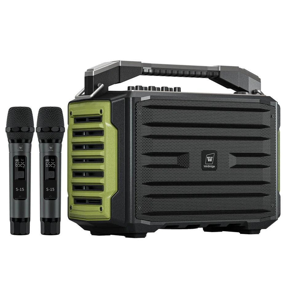 Loa kéo WinBridge K600 (200W, UHF Wireless, Bluetooth, pin 8000mAh)