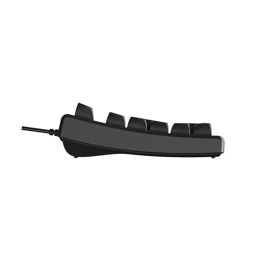 Bàn phím Rapoo NK2800 Black 12983 (98 phím, USB 2.0, Giả cơ)