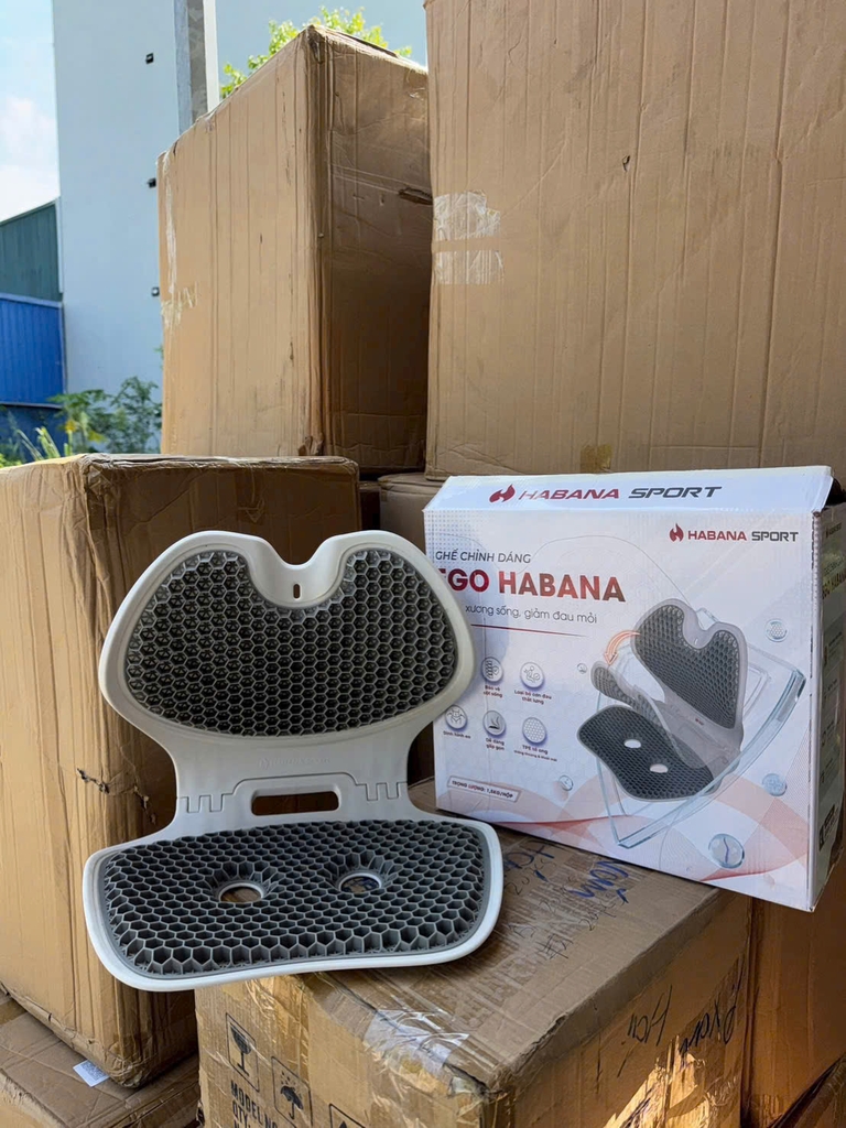 Ghế Chỉnh Dáng EGO HABANA Công Thái Học Gấp Gọn