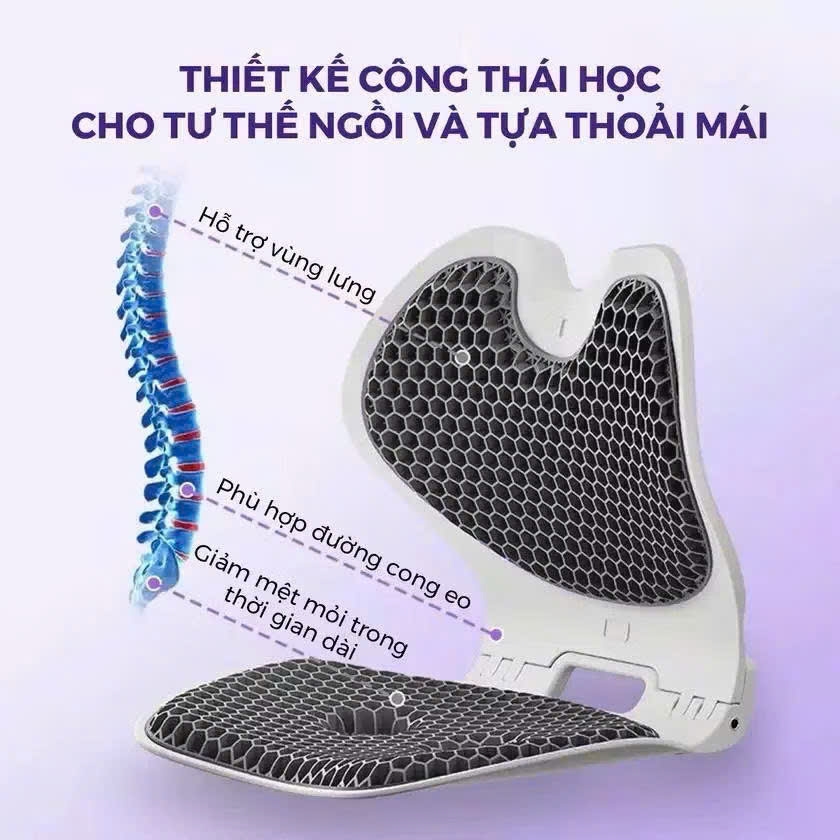Ghế Chỉnh Dáng EGO HABANA Công Thái Học Gấp Gọn