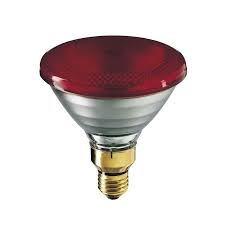 Bóng đèn hồng ngoại Philip