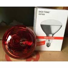 Bóng đèn hồng ngoại