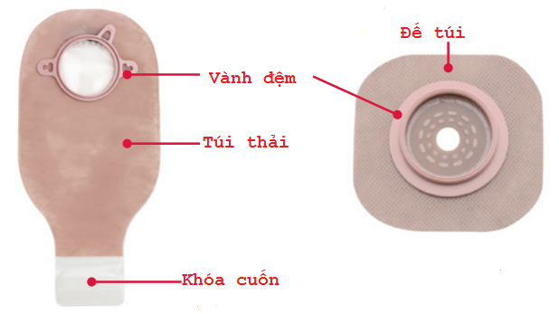 Túi hậu môn nhân tạo hai mảnh Hollister