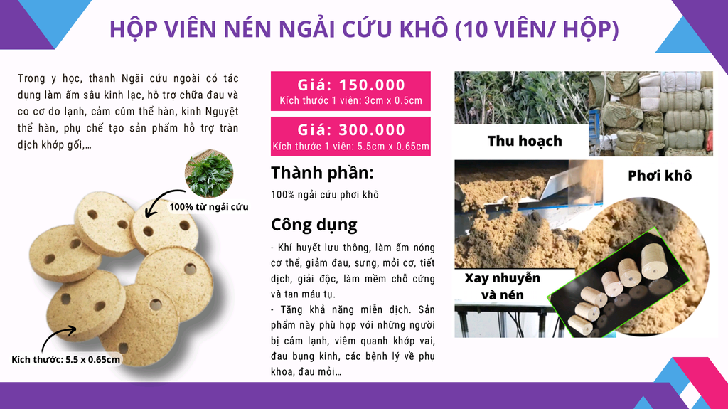 Máy xông ngải cứu Darlev DLS301
