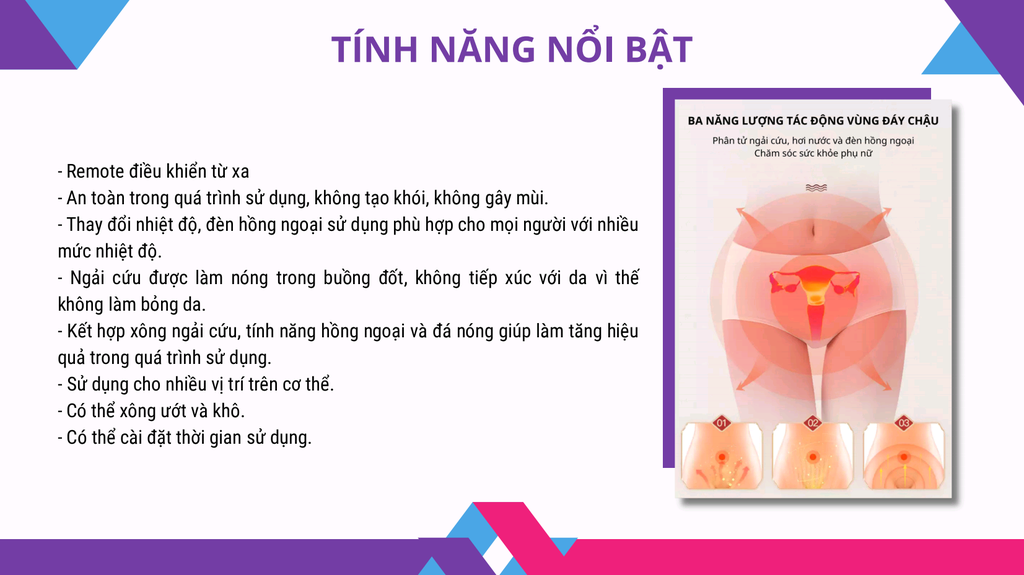 Máy xông ngải cứu Darlev DLS301