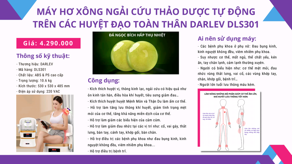 Máy xông ngải cứu Darlev DLS301