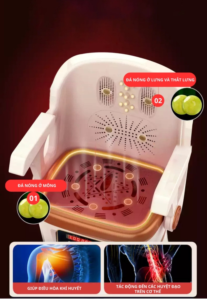 Máy xông ngải cứu Darlev DLS301