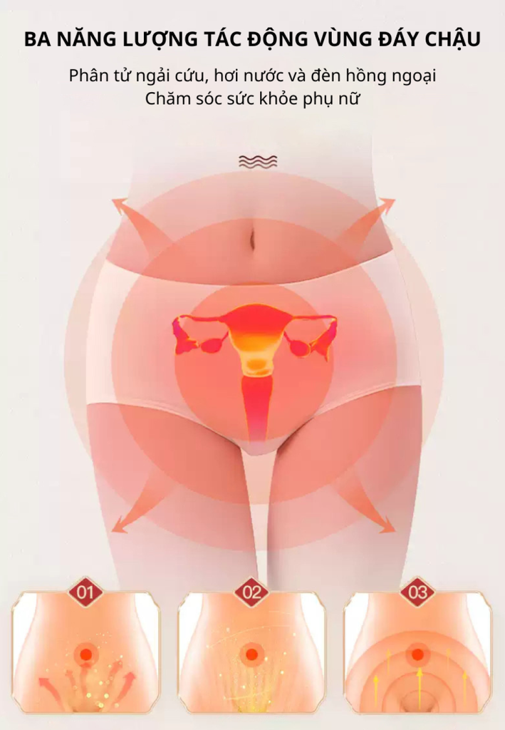 Máy xông ngải cứu Darlev DLS301