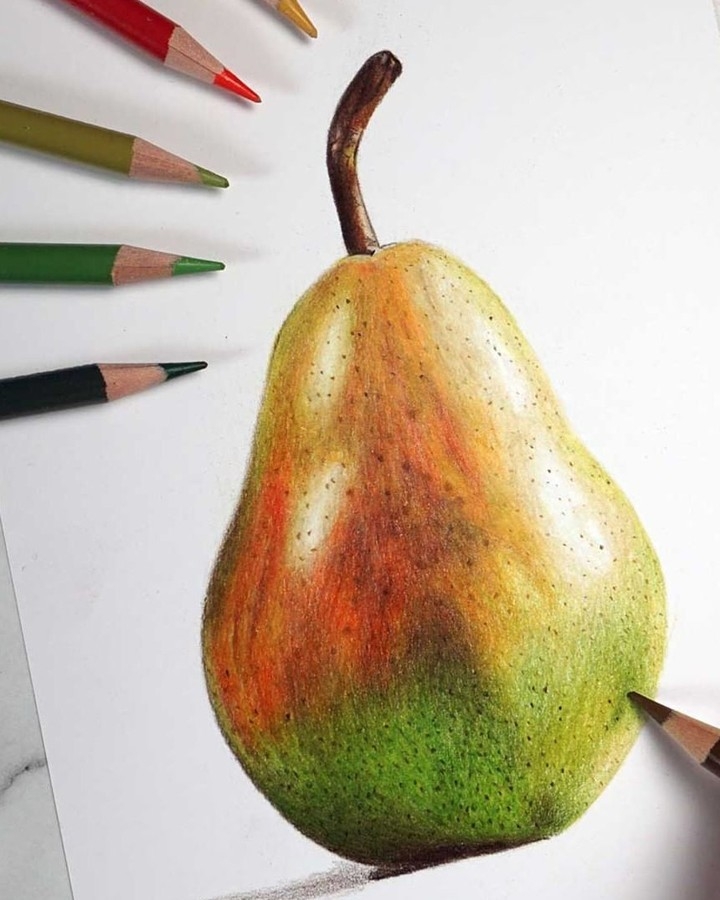 Bút chì màu lẻ Prismacolor Premier Soft Core PC1082 - Chocolate