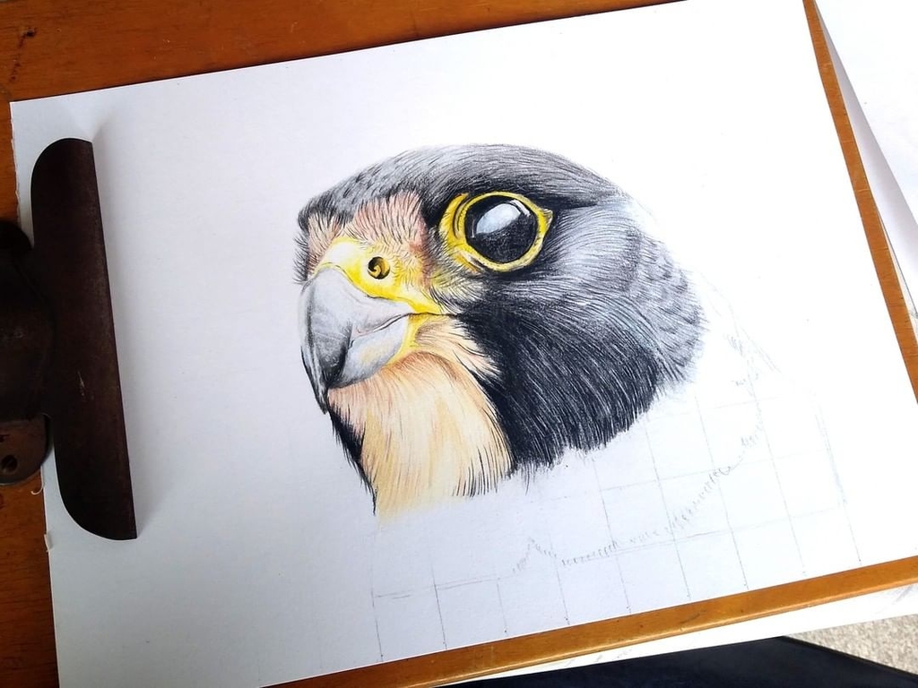 Chì màu cây lẻ Faber-Castell Polychromos 271 - Warm Gray II