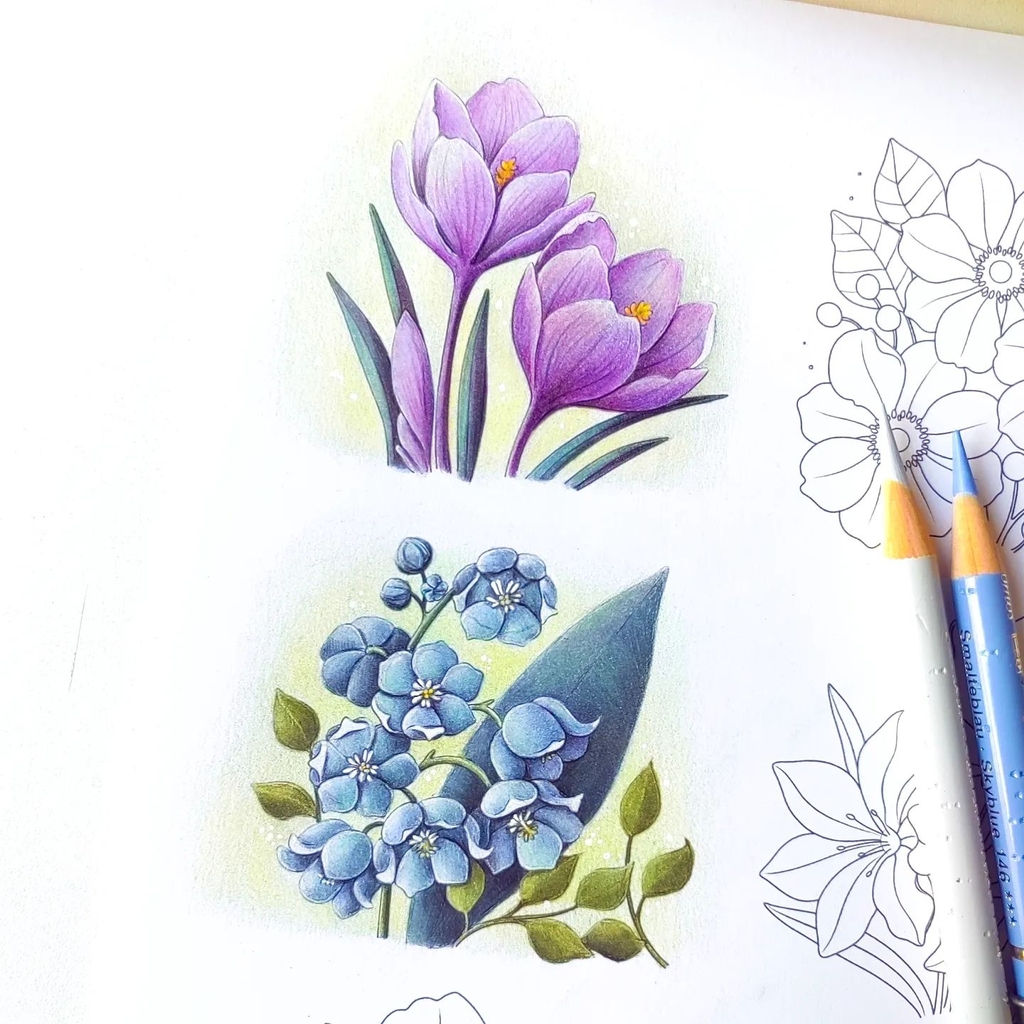 Bộ bút chì màu cao cấp Faber-Castell Polychromos - 36 Màu (Hộp thiếc)