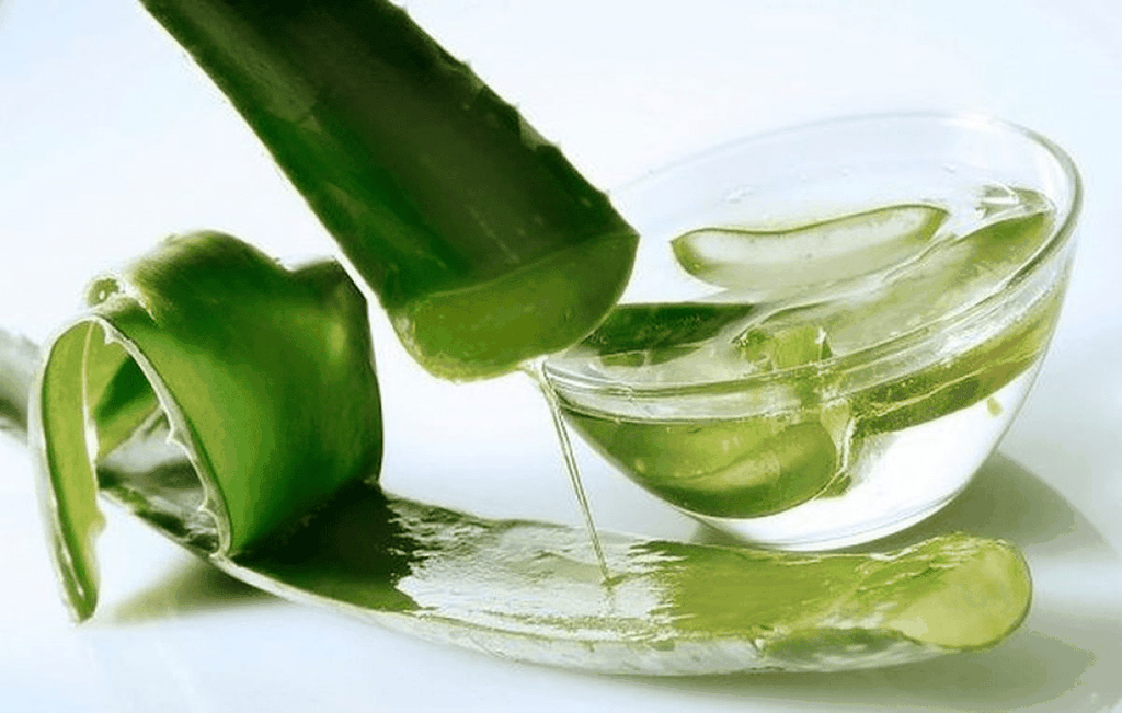 gel lô hội dưỡng ẩm da