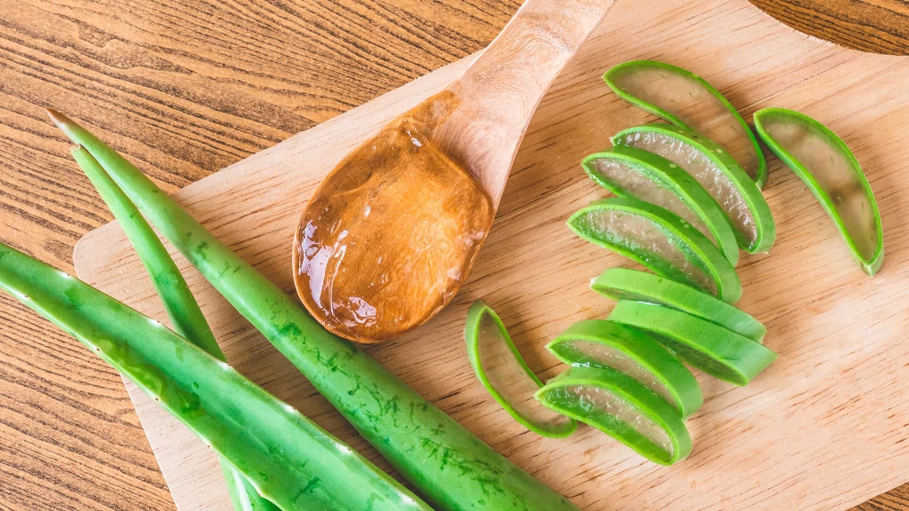 Nha đam trị điều trị vết bỏng