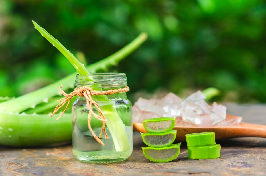 Tác dụng của nha đam đối với vóc dáng
