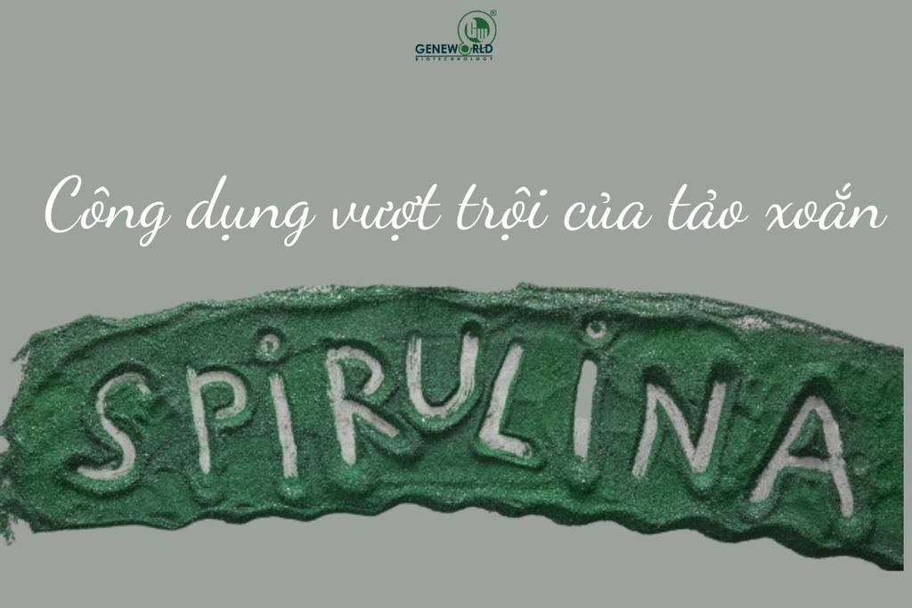 Công dụng vượt trội của tảo xoắn Spirulina