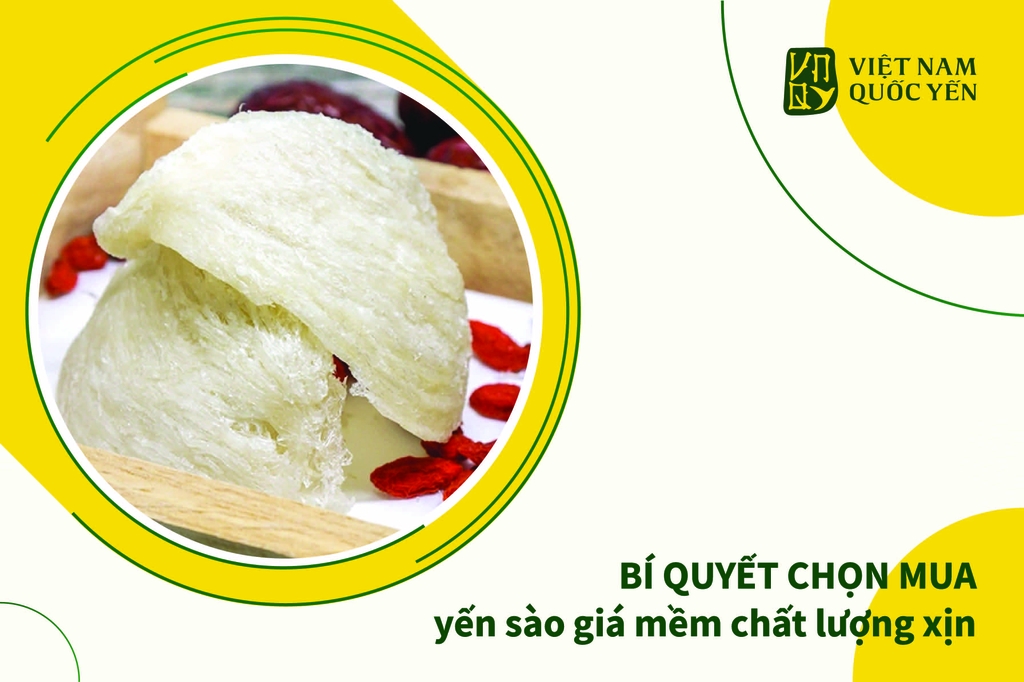 BÍ QUYẾT CHỌN MUA YẾN SÀO GIÁ MỀM CHẤT LƯỢNG XỊN
