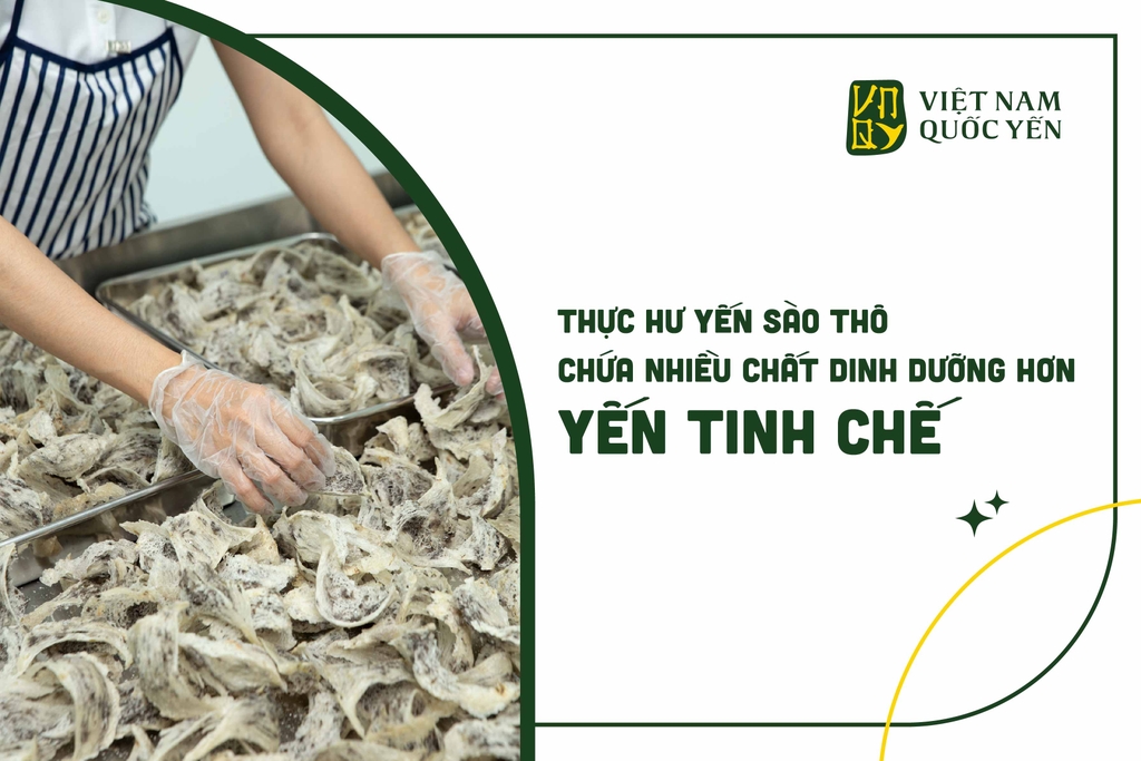 Thực hư yến sào thô chứa nhiều chất dinh dưỡng hơn yến sào tinh chế