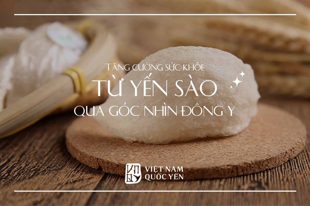 TĂNG CƯỜNG SỨC KHỎE TỪ YẾN SÀO QUA GÓC NHÌN ĐÔNG Y