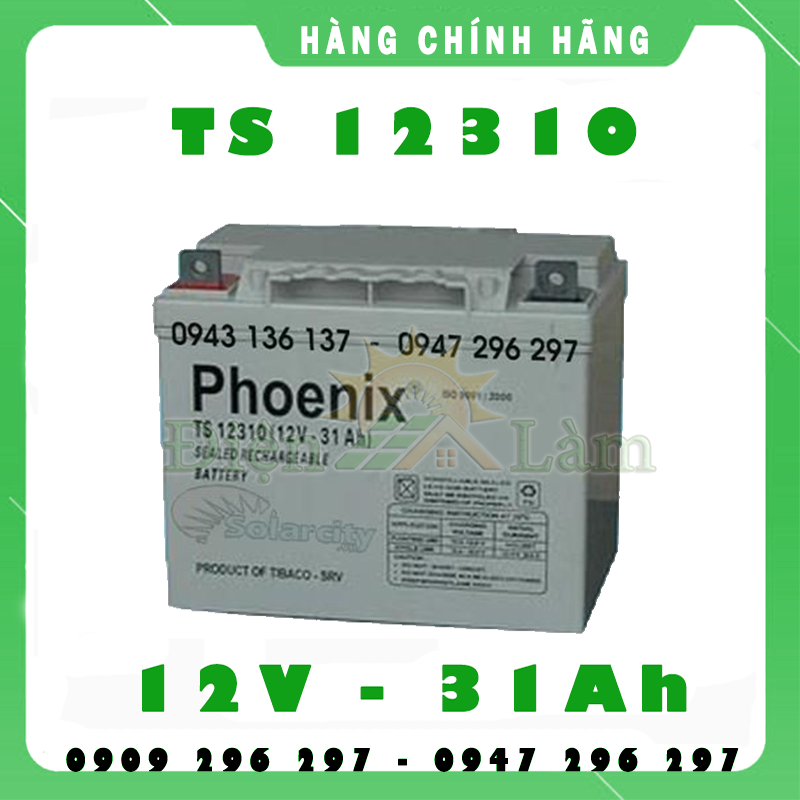 ẮC QUY PHOENIX 12V-31AH (TS12310)