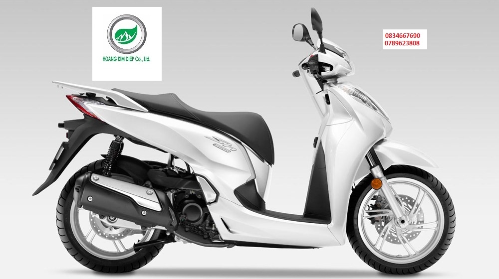 Tổng hợp 60 xe honda kim điệp hay nhất  trieuson5