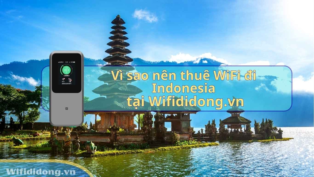 Vì sao nên thuê WiFi Indonesia tại Wifididong.vn?