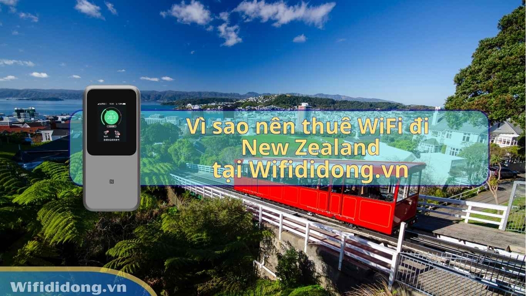 Vì sao nên thuê WiFi New Zealand tại Wifididong.vn?