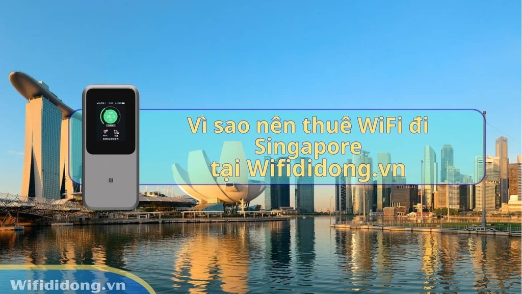 Vì sao nên thuê WiFi Singapore tại Wifididong.vn?