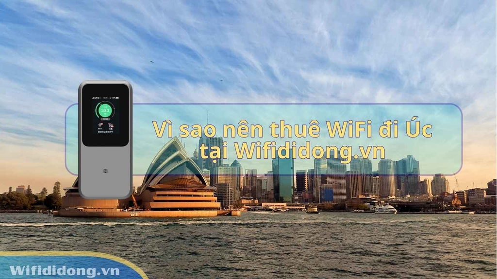 Vì sao nên thuê WiFi đi Úc tại Wifididong.vn?