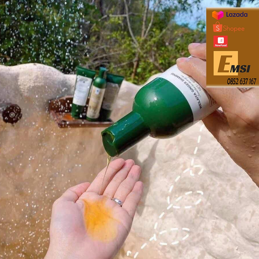 Bộ dầu gội xả chồng rụng kích mọc tóc gừng sả WELLAIYA