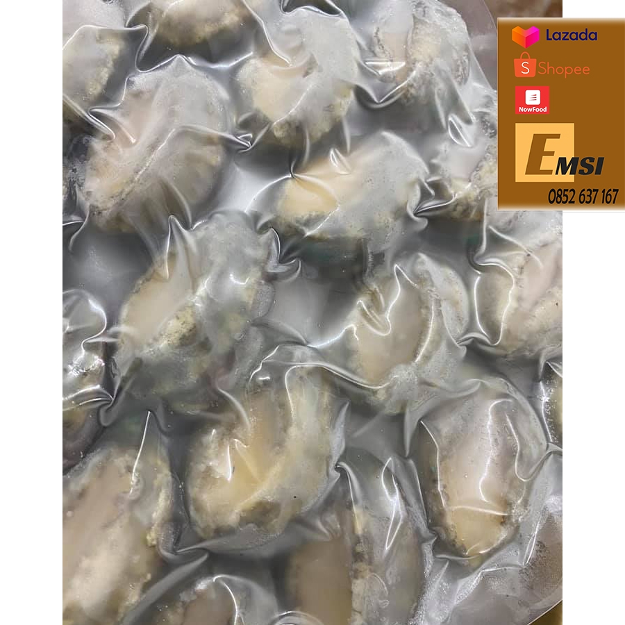 BÀO NGƯ NHẬT • SIZE 20-24 500gr