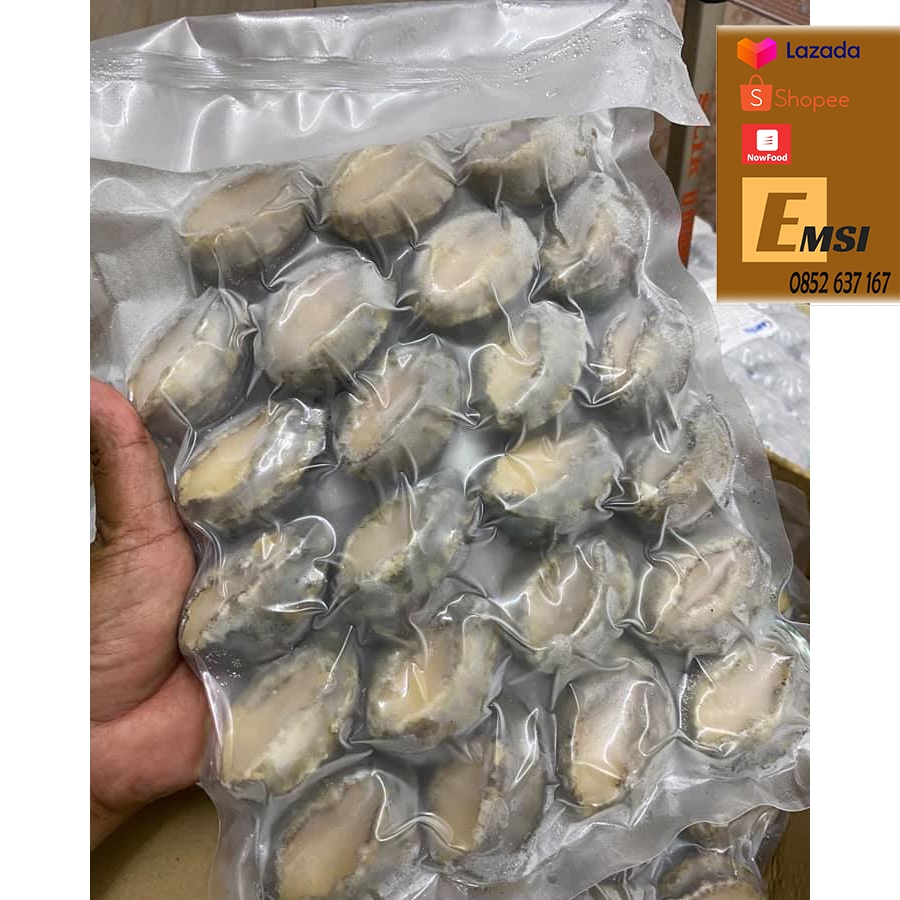BÀO NGƯ NHẬT • SIZE 20-24 500gr