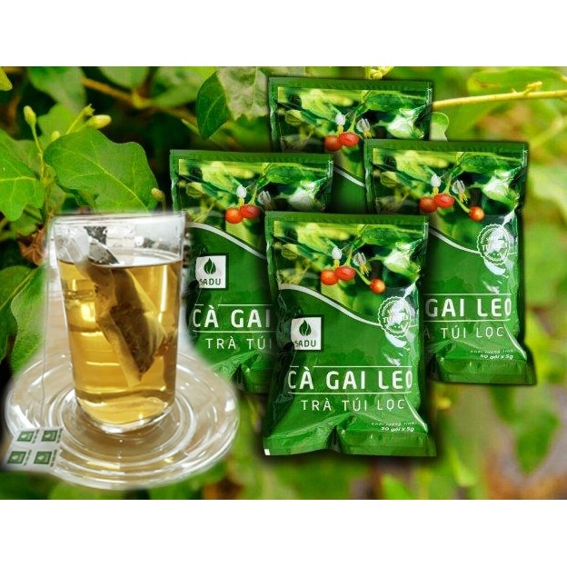 TRÀ CÀ GAI LEO SADU CHÍNH HÃNG 1KG - Khỏe Đẹp Tự Nhiên Trà Cà Gai Leo Sadu Chính Hãng 1Kg - Khỏe Đẹp Tự Nhiên