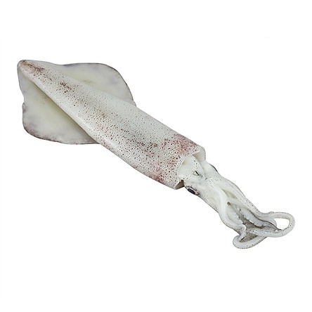Mực Ống Phú Quốc, Hải Sản Biển Tự Nhiên Túi 500Gr