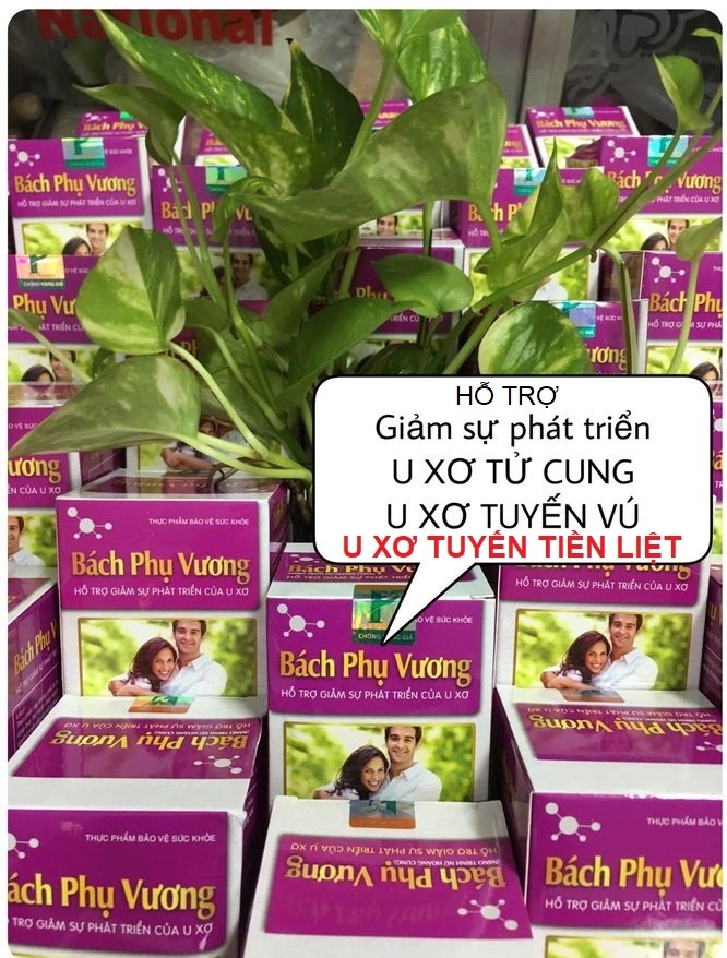 Bách Phụ Vương 40 Viên Hỗ Trợ Điều Trị U Xơ Tử Cung, U Xơ Tuyến Vú, U Xơ Tiền Liệt Tuyến, Giảm Sự Phát Triển của U Xơ Tử Cung, U Xơ Tuyến Vú, U Xơ Tuyến Tiền Liệt, Phì Đại Lành Tính Tiền Liệt Tuyến Phan An Green Nine's Beauty