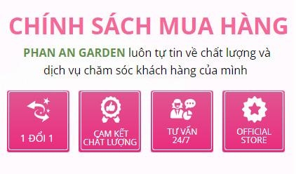 Bóng Thạch rửa mặt Sakura Mochi Jelly Nhập Khẩu Nhật Bản Phan An Garden Nine's Beauty Phan An Green SMゼリーソープ 80Gr