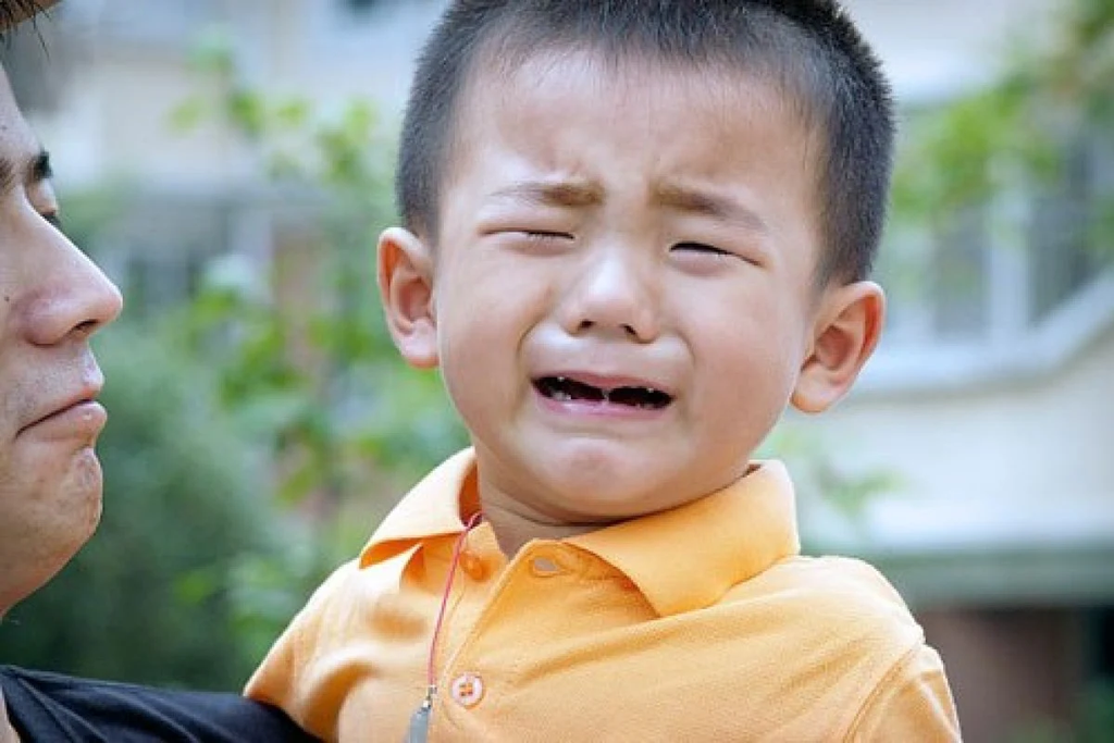 nhược điẻm khi cho trẻ đi học sớm - Kisuni.vn