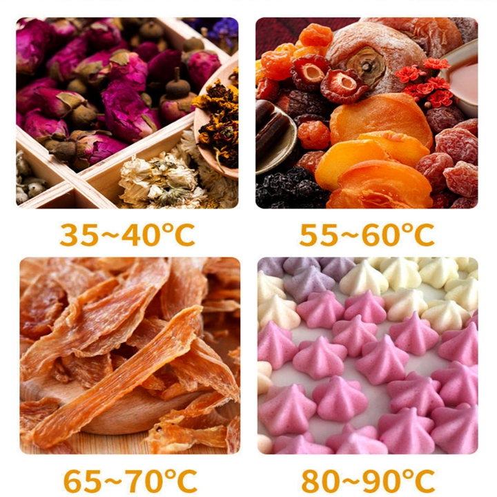 Máy sấy trái cây, sấy thực phẩm DEHYDRATOR 800W 10 tầng sấy khô tiết kiệm điện năng