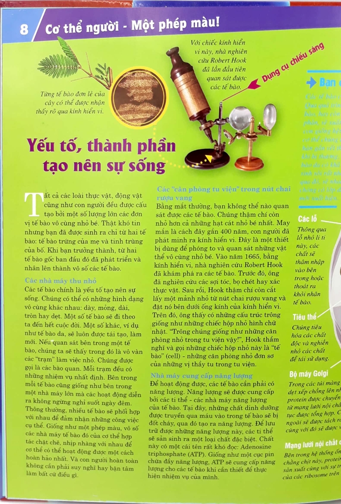 Thế Nào Và Tại Sao: Cơ Thể Người - Tuyệt Tác Của Tạo Hoá ( Tái Bản )