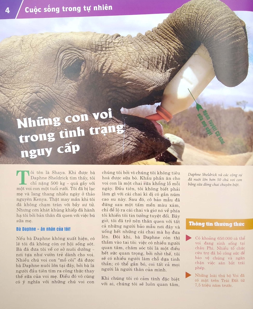 Thế Nào Và Tại Sao - Động Vật Hoang Dã Cần Được Bảo Vệ Trước Nguy Cơ Tuyệt Chủng