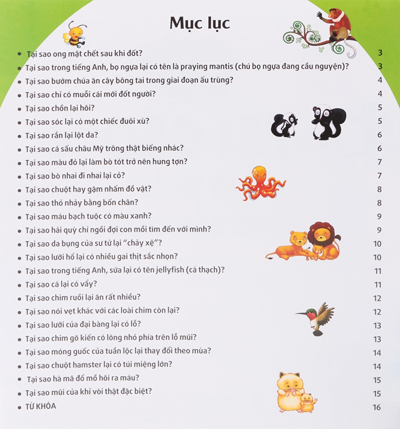Mười Vạn Câu Hỏi Tại Sao - Tại Sao Thỏ Nhảy Bằng Bốn Chân?