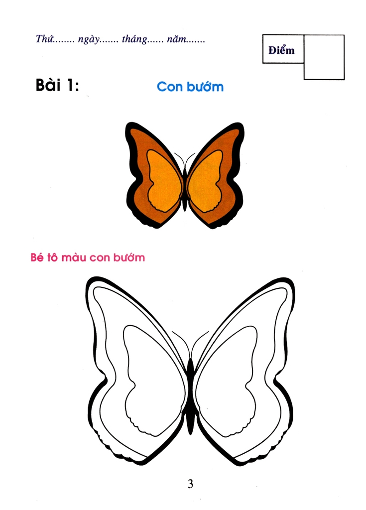 Bé Tô Màu Và Làm Quen Với Môi Trường - Côn Trùng