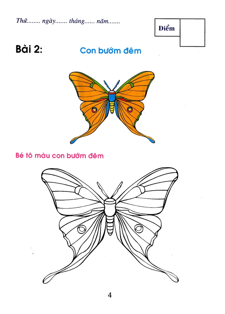Bé Tô Màu Và Làm Quen Với Môi Trường - Côn Trùng