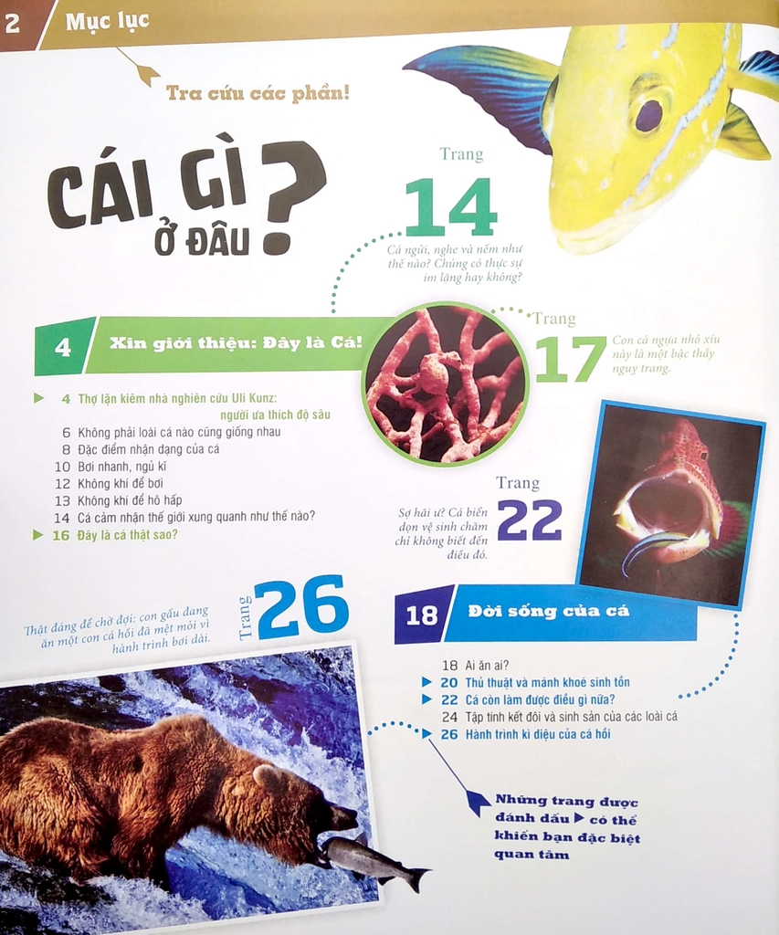 Thế Nào Và Tại Sao - Các Loài Cá - Thế Giới Diệu Kì Dưới Nước