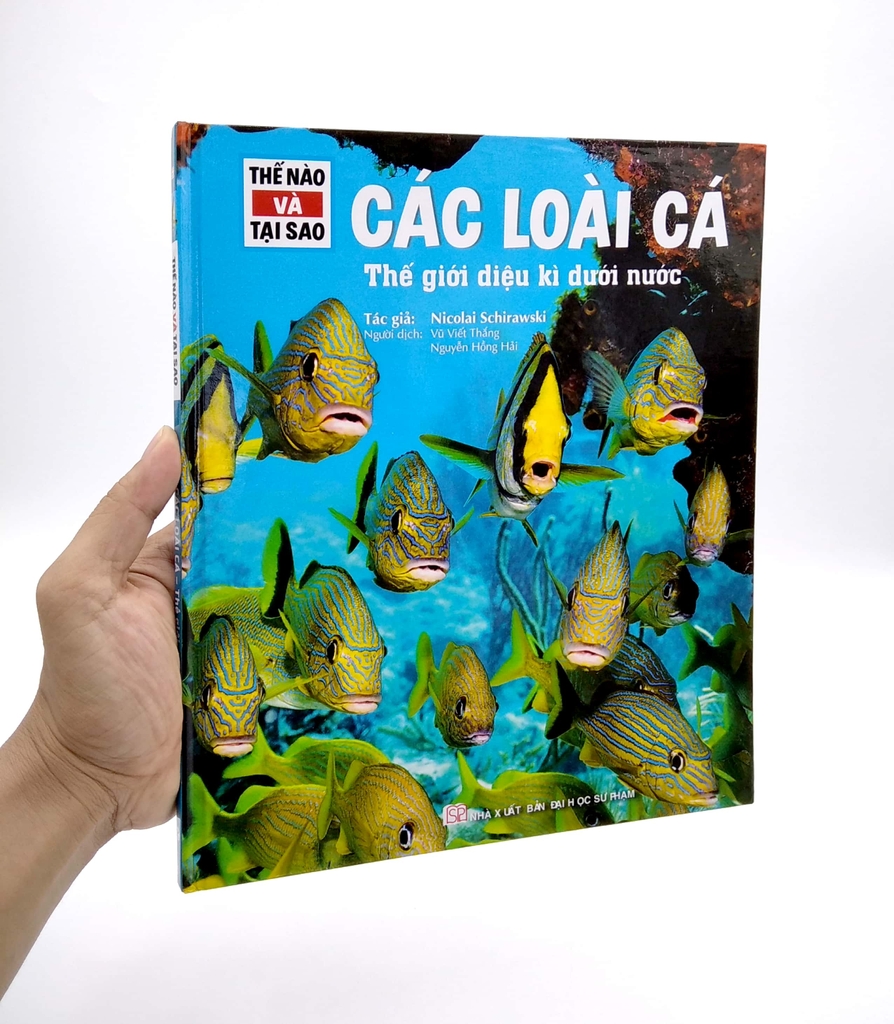 Thế Nào Và Tại Sao - Các Loài Cá - Thế Giới Diệu Kì Dưới Nước