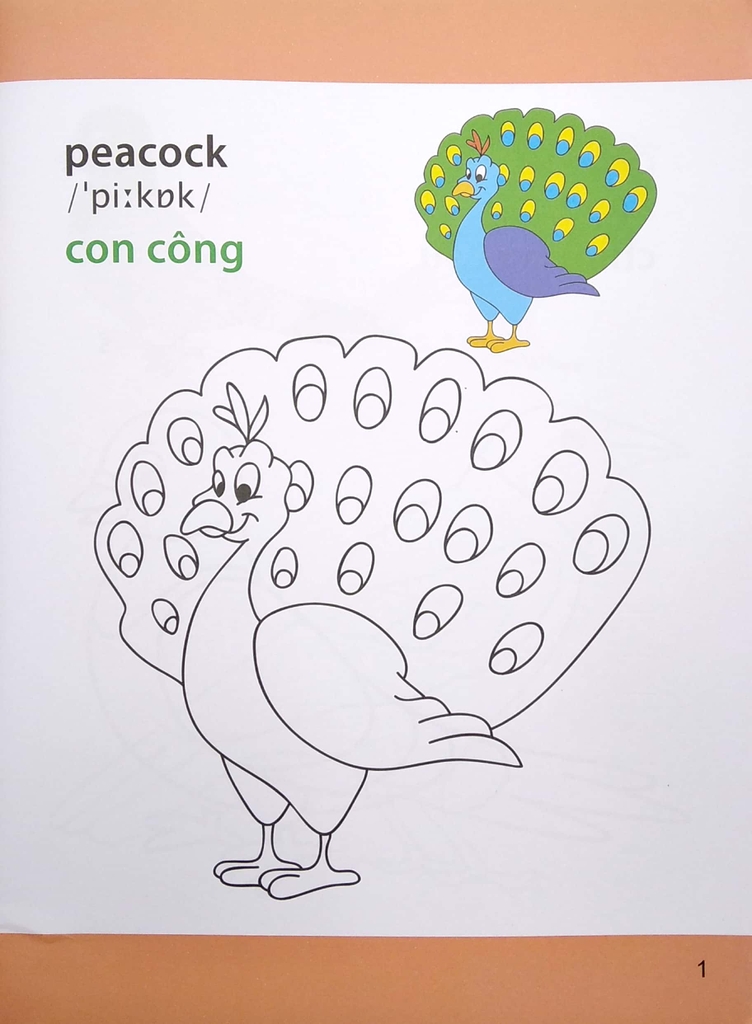Giờ Học Tô Màu Của Bé - Các Loài Chim