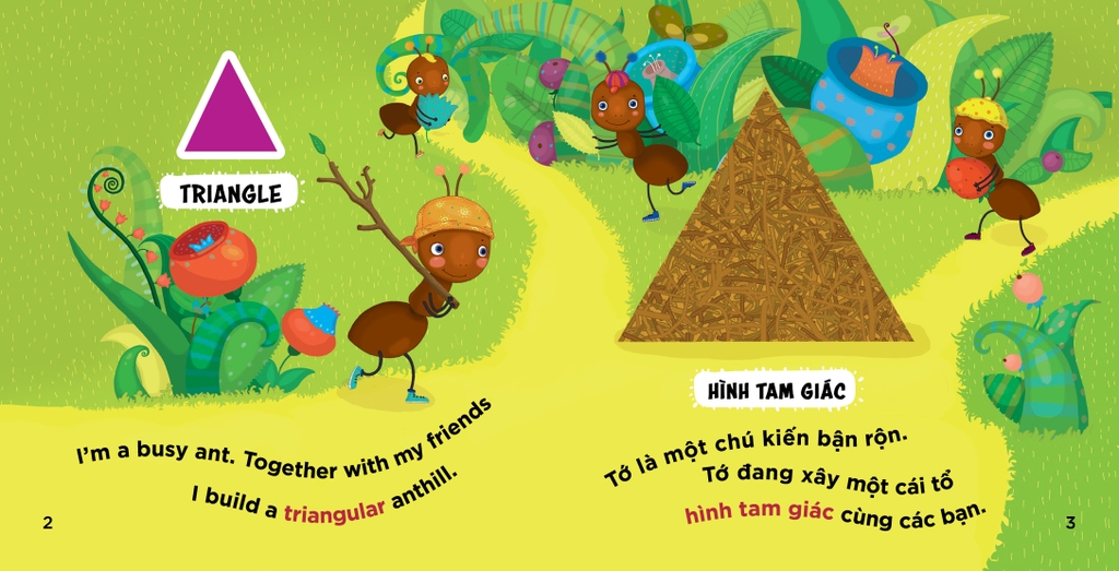 Bộ Hộp Thư Viện Đầu Tiên Của Bé - Sách Song Ngữ Nhận Biết - Trẻ 2+