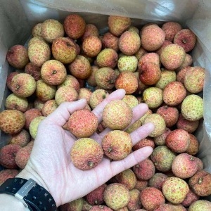 Vải Tươi Việt Nam - ベトナム産 新鮮ライチ - Túi 500g
