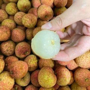 Vải Tươi Việt Nam - ベトナム産 新鮮ライチ - Túi 500g